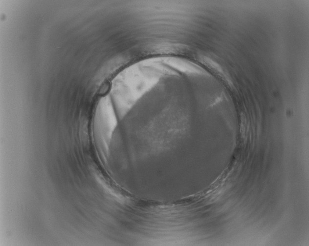 X0000070250394200606232013