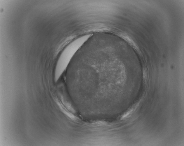 X0000070250397200606232013