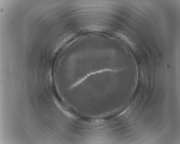 X0000070250398200606232013