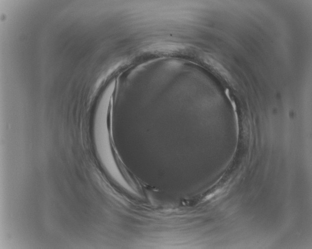 X0000070250399200606232013