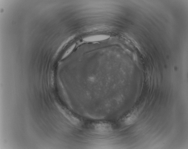 X0000070250400200606232013