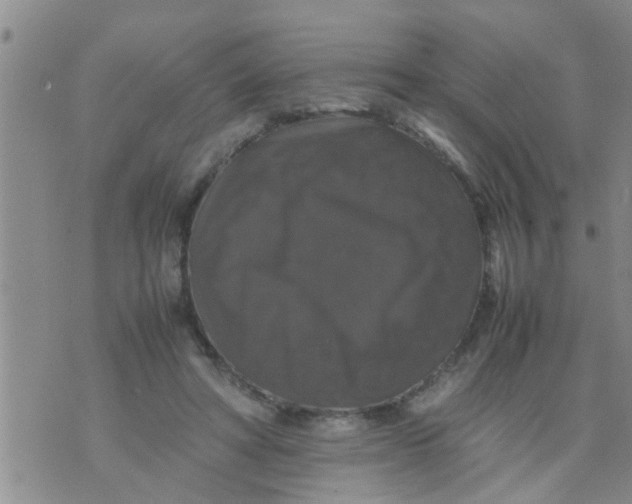 X0000070250402200606232013