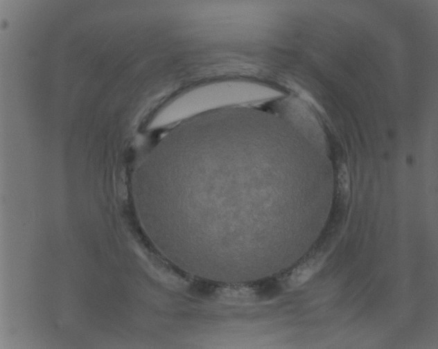 X0000070250403200606232013