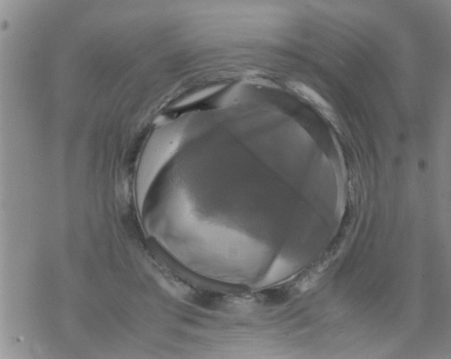 X0000070250405200606232013