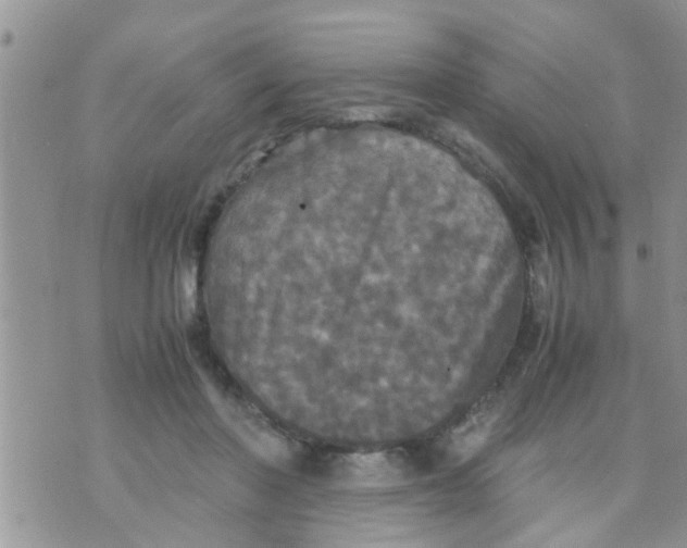 X0000070250406200606232013