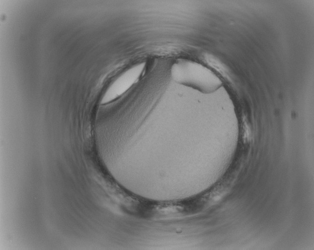 X0000070250407200606232013