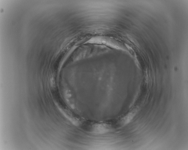 X0000070250408200606232013