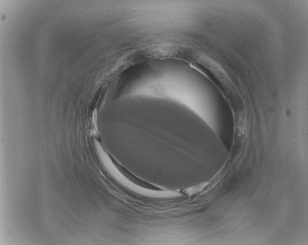 X0000070250409200606232013