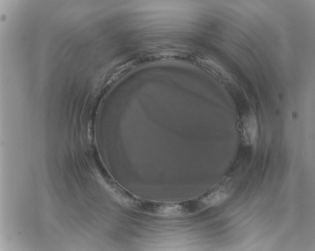 X0000070250410200606232013