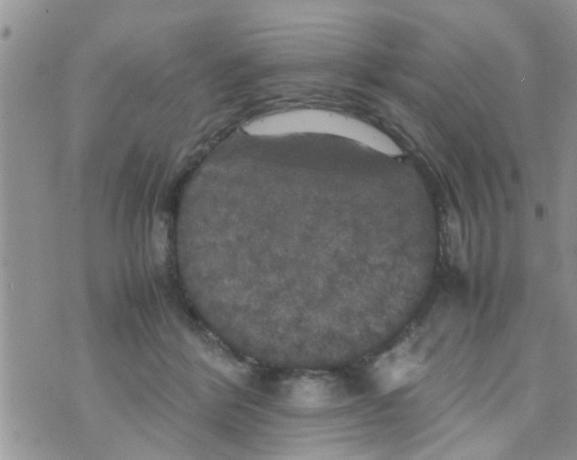 X0000070250412200606232013