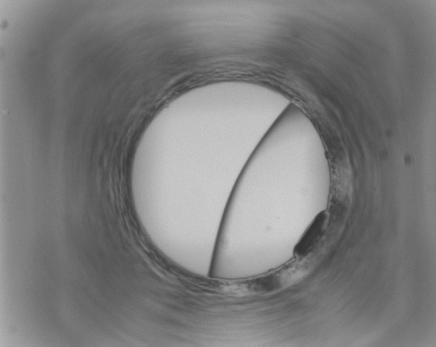 X0000070250413200606232013