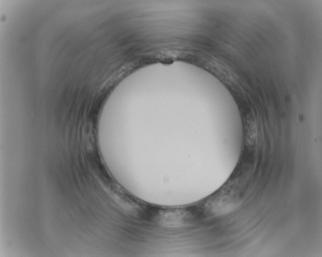 X0000070250414200606232013