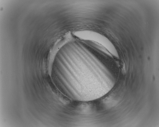 X0000070250416200606232013