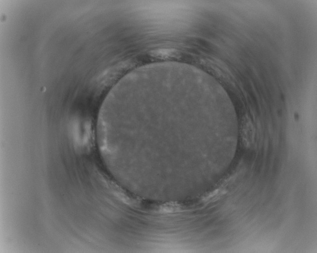 X0000070250420200606232012