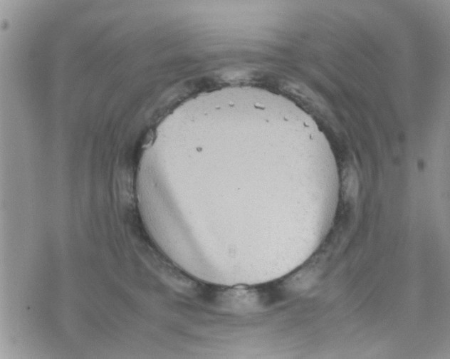 X0000070250421200606232012