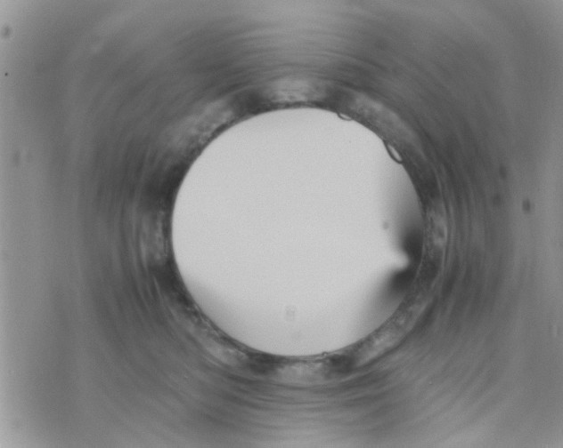 X0000070250422200606232012