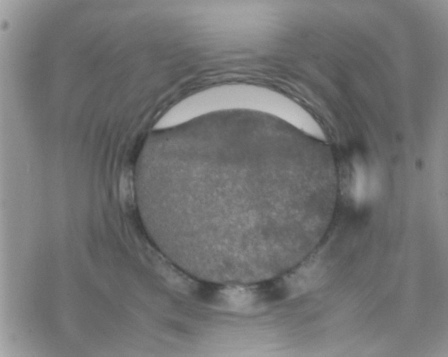 X0000070250425200606232012