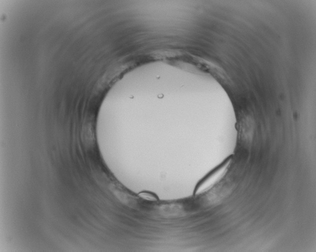 X0000070250426200606232012