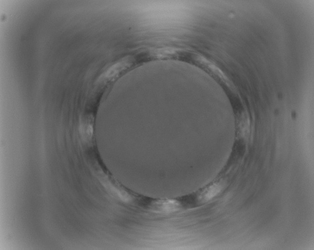 X0000070250427200606232012