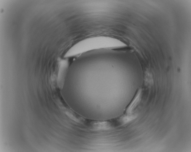 X0000070250428200606232012