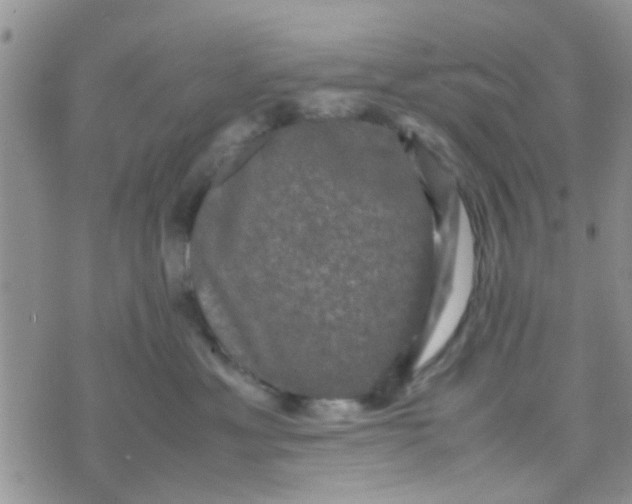 X0000070250429200606232012