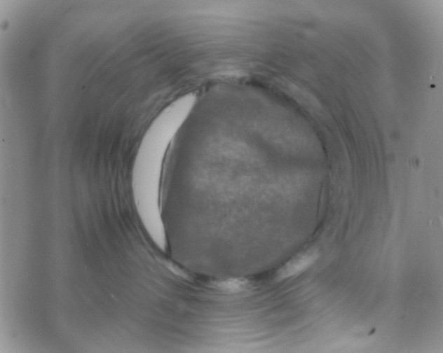 X0000070250432200606232012