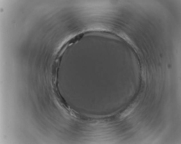 X0000070250434200606232012