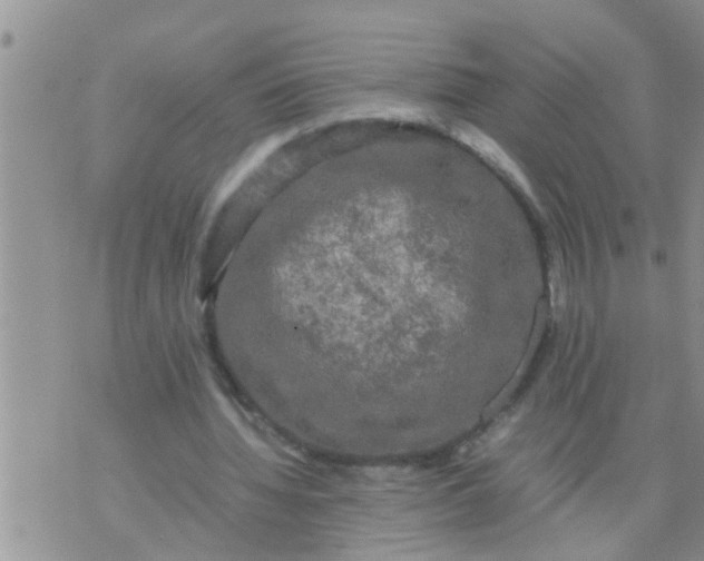 X0000070250436200606232012