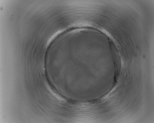 X0000070250438200606232012