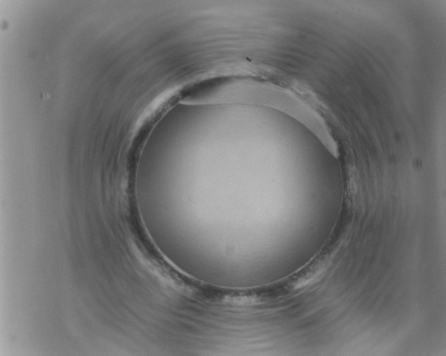 X0000070250440200606232012