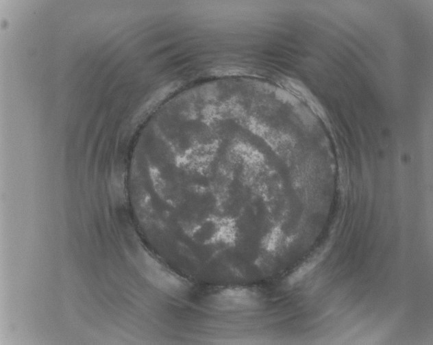 X0000070250441200606232012