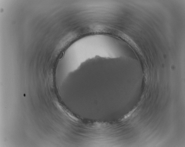 X0000070250442200606232012