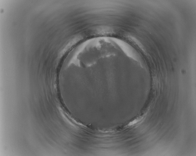 X0000070250443200606232012