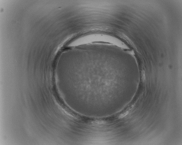 X0000070250444200606232012