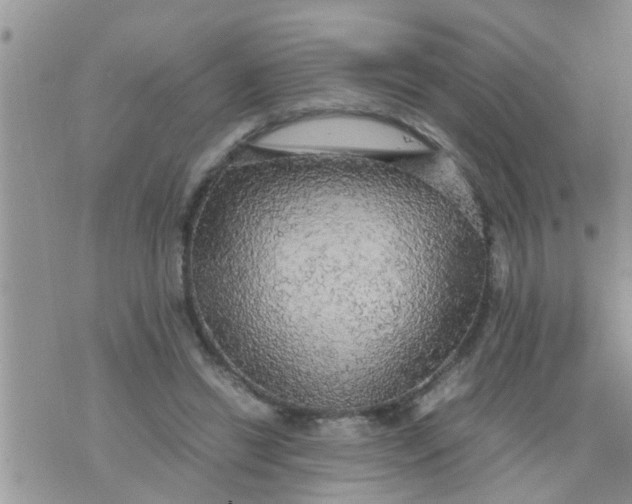 X0000070250446200606232012