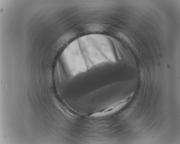 X0000070250447200606232012