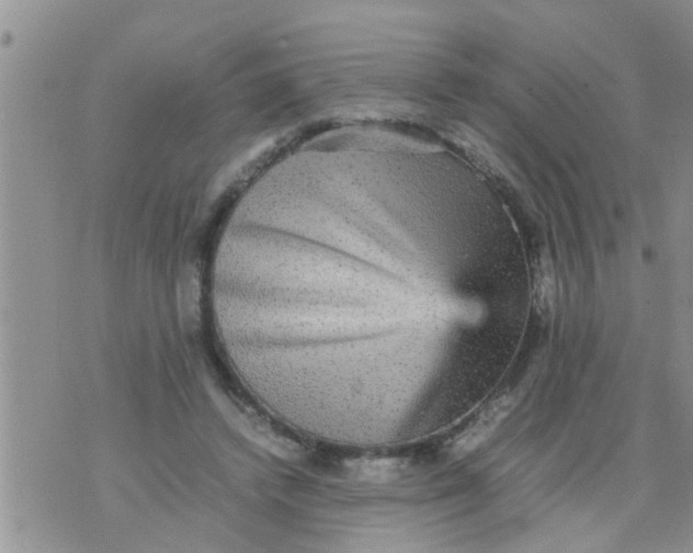 X0000070250448200606232012