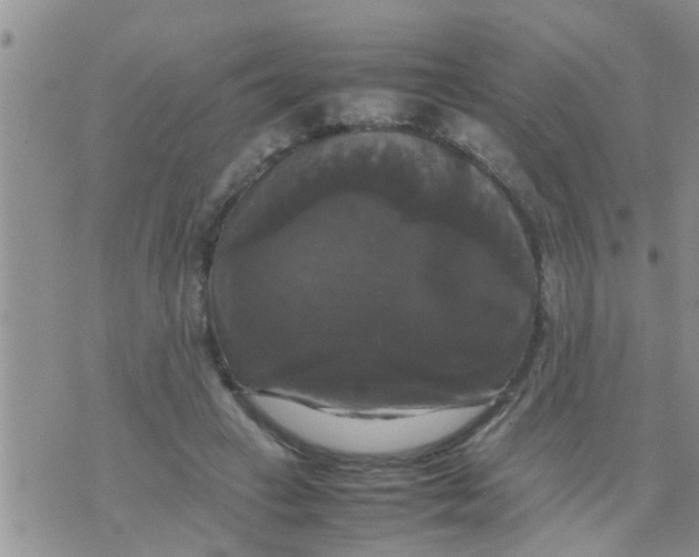 X0000070250449200606232012