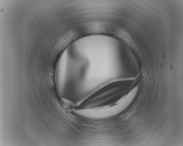 X0000070250450200606232012