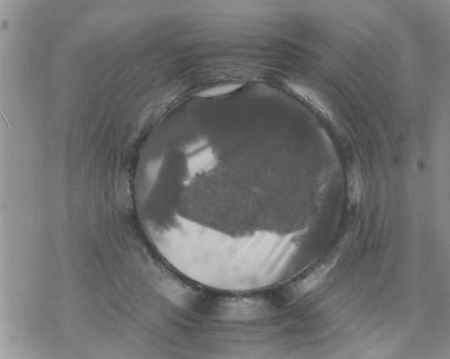 X0000070250453200606232012