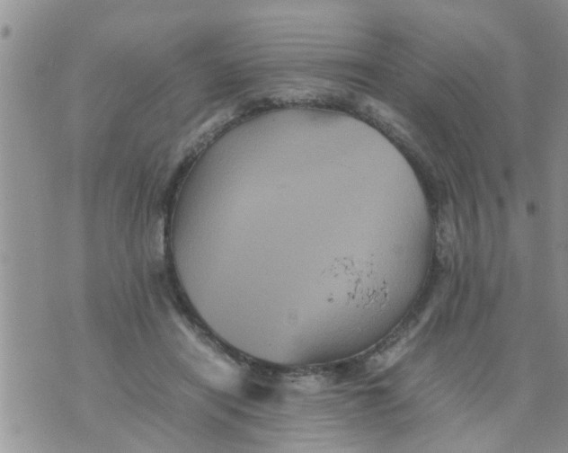 X0000070250454200606232012