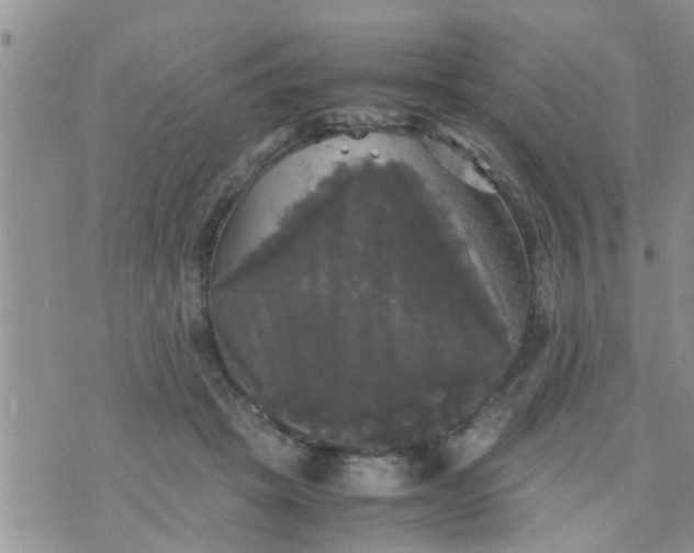 X0000070250457200606232012