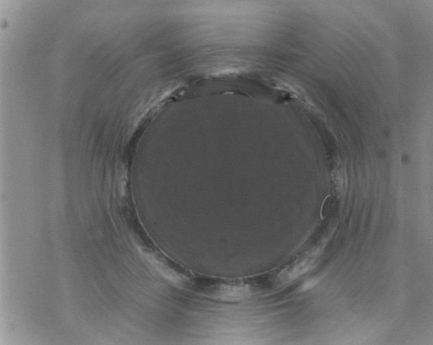 X0000070250458200606232012