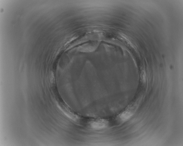 X0000070250459200606232012