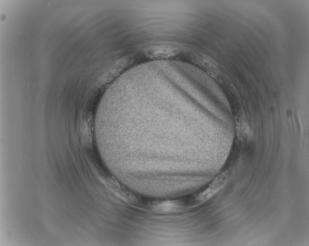 X0000070250460200606232012