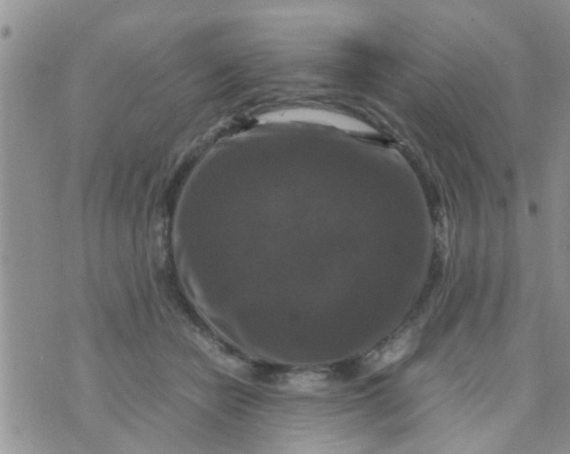 X0000070250462200606232012