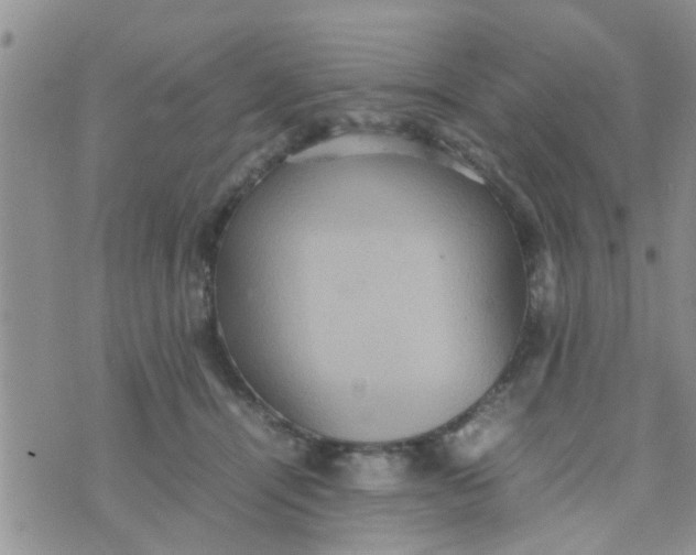 X0000070250464200606232012