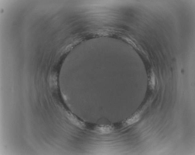 X0000070250466200606232012