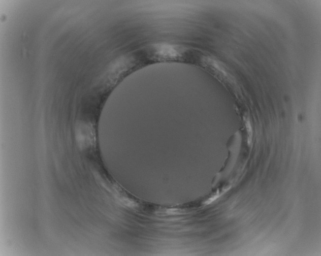 X0000070250467200606232012