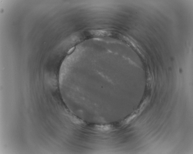 X0000070250469200606232012